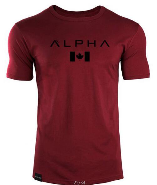 2019 Brand Clothing Gyms t-shirt ALPHA Fitness T-shirt Short sleeve Men Fashion Crossfit Top Tees Multiple Colors Choose